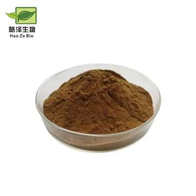 Ekstrak Angelica Sinensis